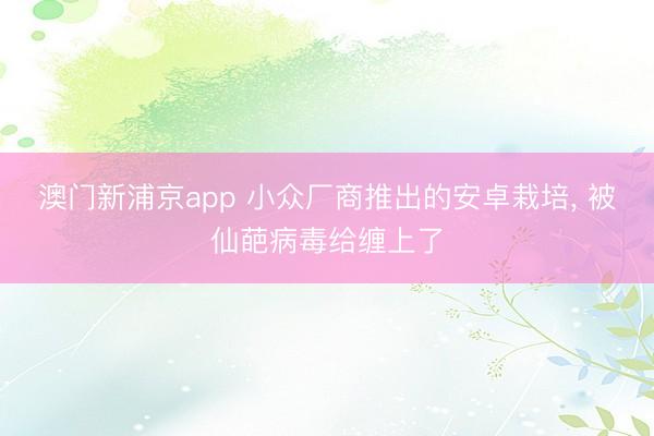 澳门新浦京app 小众厂商推出的安卓栽培， 被仙葩病毒给缠上了