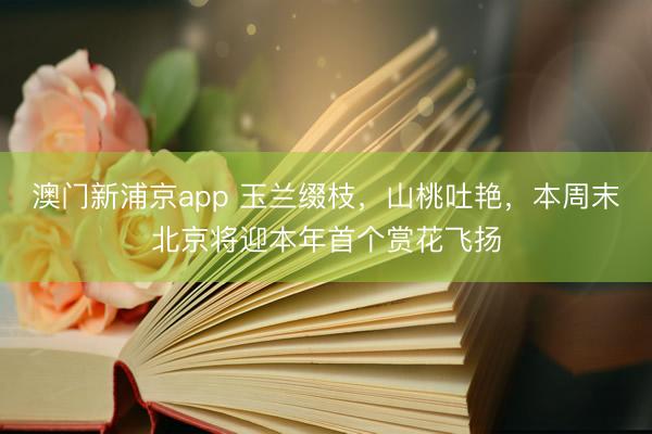 澳门新浦京app 玉兰缀枝，山桃吐艳，本周末北京将迎本年首个赏花飞扬